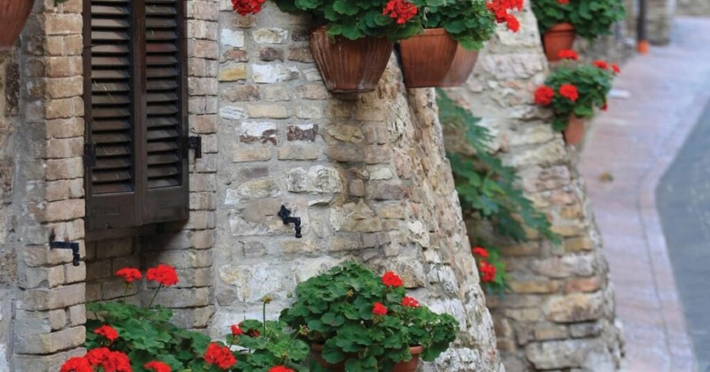 Qué información necesitas sobre Olarte y Akle en Roma 4 Qué información necesitas sobre Olarte y Akle en Roma