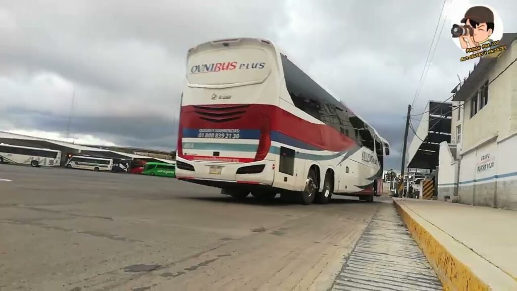 Qué servicios ofrece Autobuses Flecha Roja en Pachuca 7 Qué servicios ofrece Autobuses Flecha Roja en Pachuca
