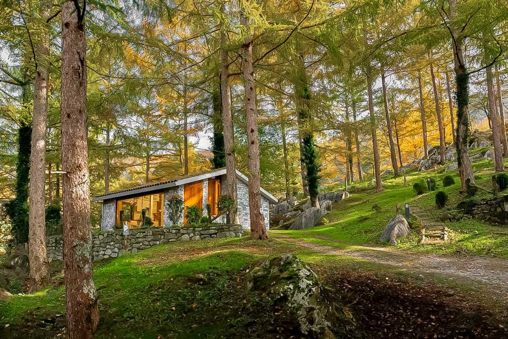 Dónde se encuentran las cabañas La Vid del Bosque y qué ofrecen 1 cabanas en el bosque rodeadas de naturaleza