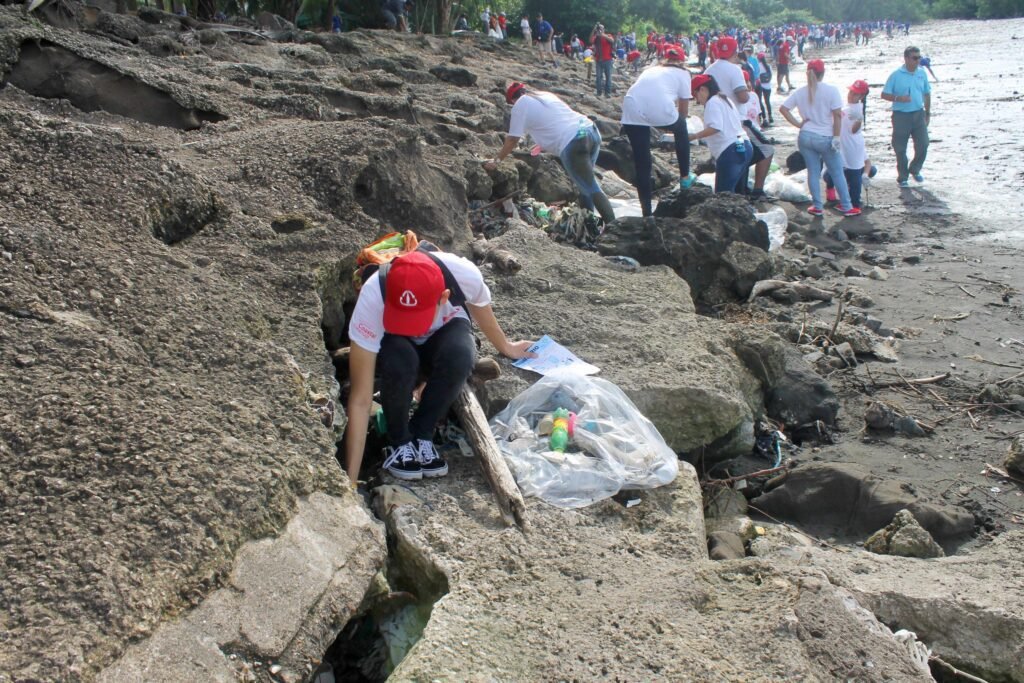 Dónde encontrar Coca Cola en Los Cabos y disfrutar de sus refrescos 8 Dónde encontrar Coca Cola en Los Cabos y disfrutar de sus refrescos