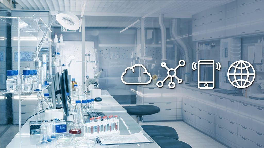 Qué servicios ofrece el laboratorio Polanco Bernardo Quintana 3 Qué servicios ofrece el laboratorio Polanco Bernardo Quintana