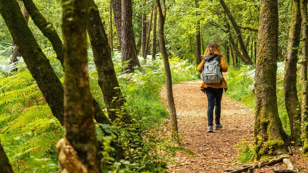 Qué actividades se pueden disfrutar en el Parque La Joya en Valle de Guadalupe 8 Qué actividades se pueden disfrutar en el Parque La Joya en Valle de Guadalupe