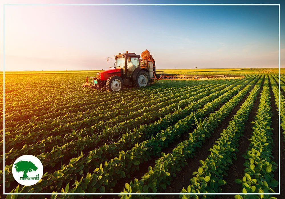 Qué ofrece el Rancho Sustentable Doña Elia en su propuesta ecológica 3 Qué ofrece el Rancho Sustentable Doña Elia en su propuesta ecológica