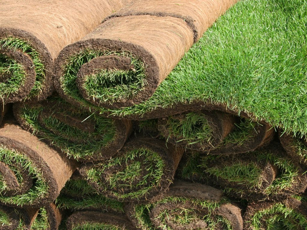 Dónde comprar pasto en rollo en León, Guanajuato 4 Dónde comprar pasto en rollo en León, Guanajuato