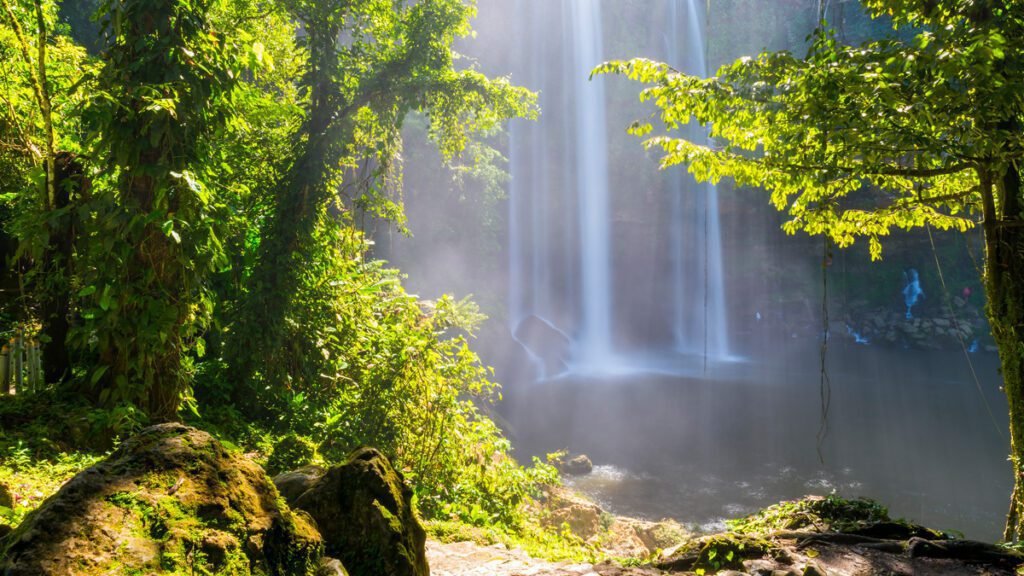 Qué servicios y experiencias ofrece Posada Nican Mo Calli en México 5 Qué servicios y experiencias ofrece Posada Nican Mo Calli en México